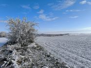 img_20250103_104157.jpg