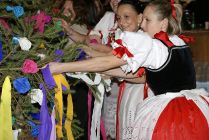 kaca2010_206.jpg