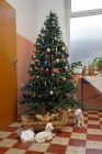 dsc01791.jpg