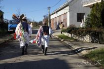 dsc08915.jpg