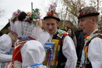 dsc05008.jpg