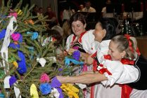 kaca2010_207.jpg