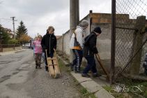 dsc11753.jpg