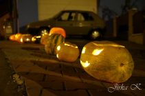dsc08670.jpg