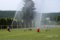 dsc06702.jpg