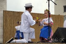 dsc24789.jpg