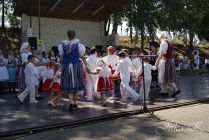 dsc39716.jpg