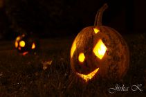 dsc04828.jpg