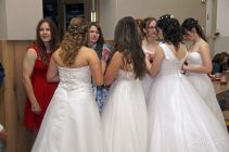 dsc33134.jpg