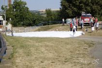 dsc07837.jpg