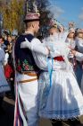 dsc12822.jpg