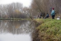 dsc37121.jpg