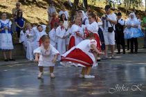 dsc07331.jpg