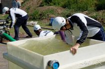 dsc14774.jpg