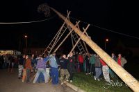 Hody 2013 - Stavění máje