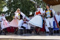 dsc07404.jpg