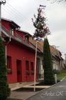 dsc04969.jpg