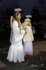 dsc10104.jpg
