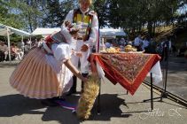 dsc07415.jpg