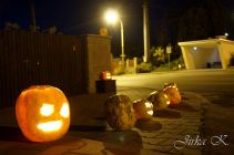 dsc08672.jpg