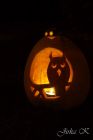 dsc12654.jpg