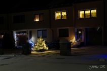 dsc27307.jpg