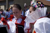 dsc07148.jpg