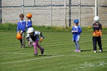 dsc30011.jpg