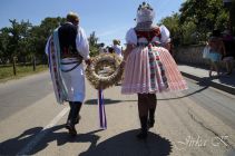 dsc07239.jpg