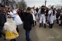 dsc05003.jpg
