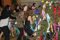 kaca2010_215.jpg