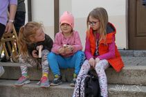 dsc27397.jpg
