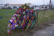 dsc22133.jpg