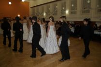 ples_2011_324.jpg
