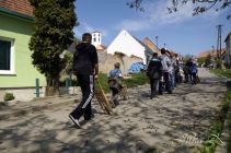 dsc03317.jpg