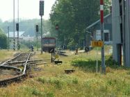 trat08_23.jpg
