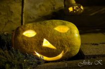 dsc08678.jpg