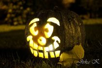 dsc08667.jpg