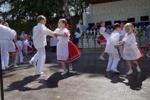 dsc07379.jpg