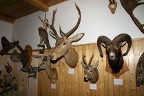 rodaci_2010_331.jpg