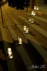 dsc01642.jpg