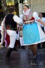 dsc07397.jpg