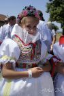 dsc39505.jpg