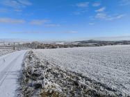 img_20250103_104259.jpg