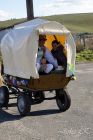 dsc08953.jpg