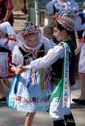 dsc41446.jpg