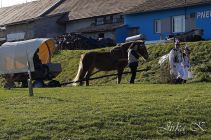 dsc08928.jpg