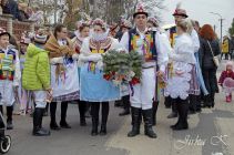 dsc22464.jpg