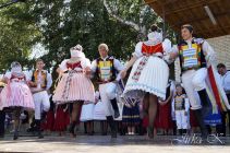 dsc07403.jpg