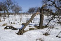 vychazka_19.jpg